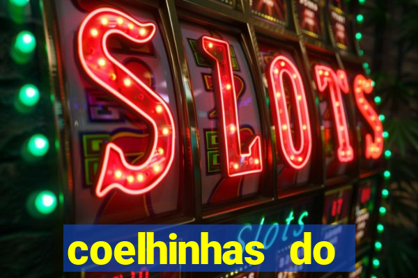 coelhinhas do brasil recife